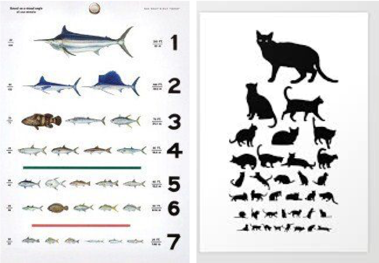 Two vision charts side by side: one using fish with different sizes, one using cats with different sizes. 